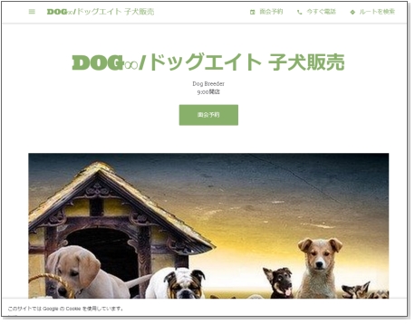 Dog∞/子犬情報